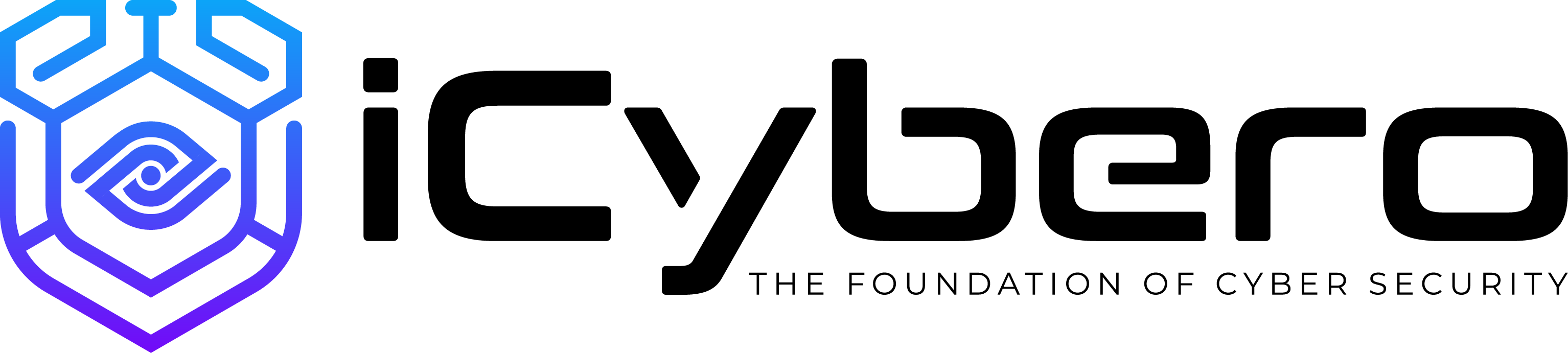 iCybero - Elite Cybersecurity Experts